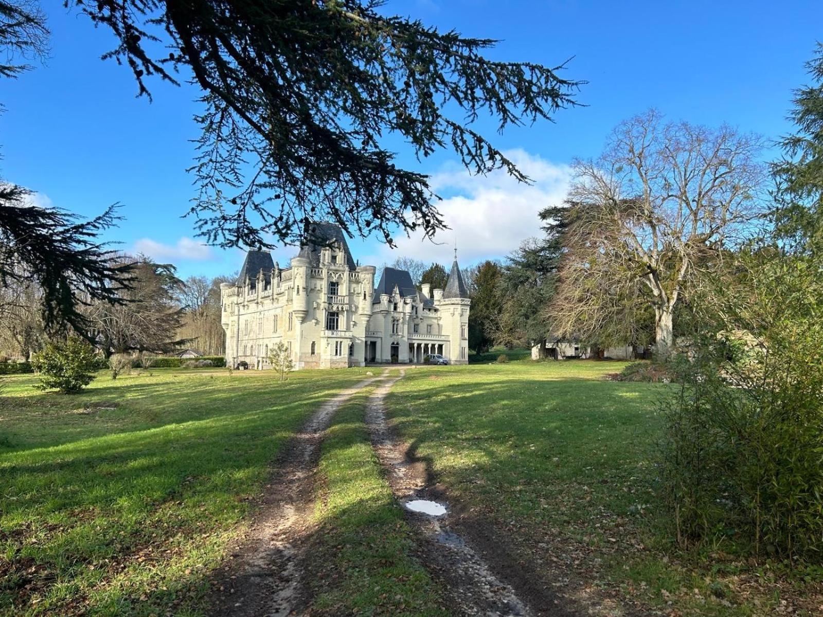 Chateau De Salvert - 4 Gites - 32 Personnes Neuillé Eksteriør billede